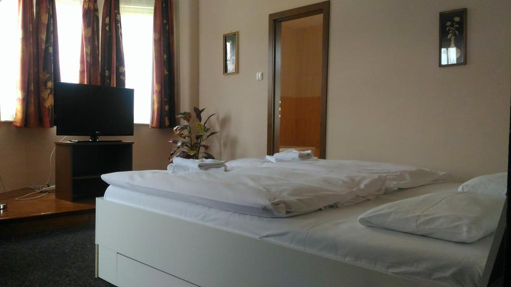 Hotel Penzion Marion Decin Zewnętrze zdjęcie